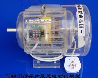 電機拆裝與維修實訓臺(圖11)