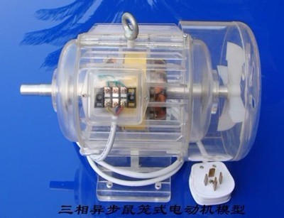 電機拆裝與維修實訓臺(圖14)