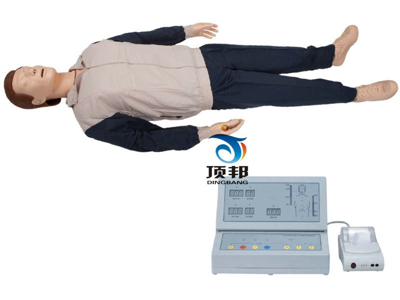 高級(jí)自動(dòng)電腦心肺復(fù)蘇模擬人