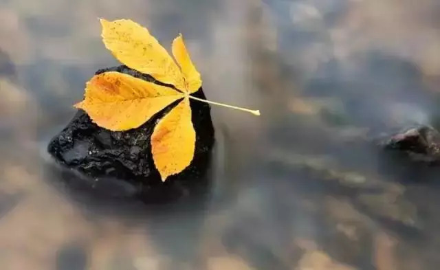 堅(jiān)強(qiáng)是你唯一的選擇(圖3)
